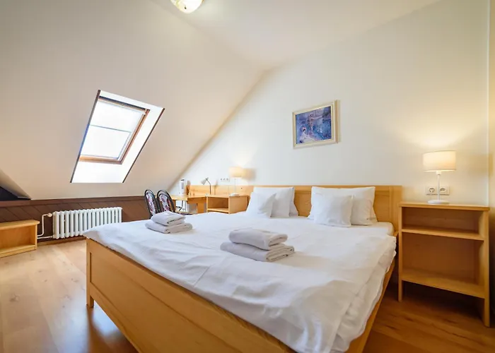 Markus Penzion Frymburk